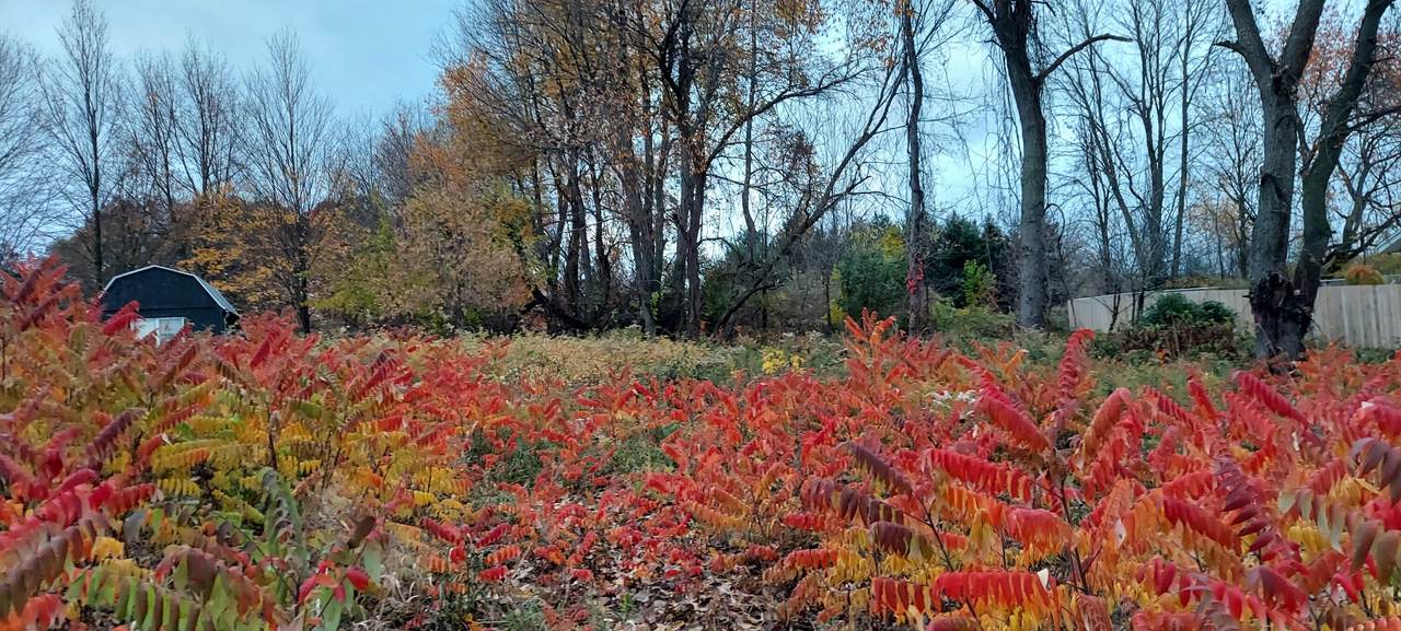 Lot 215 Shore Drive - Photo 1