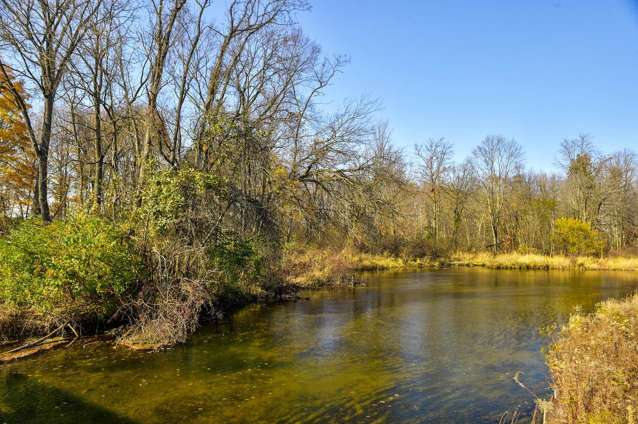 Adamsville Road - Photo 1