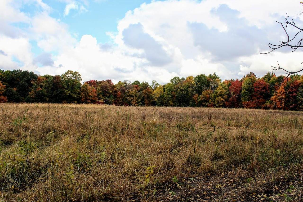 5911 Baseline Rd. - Photo 1