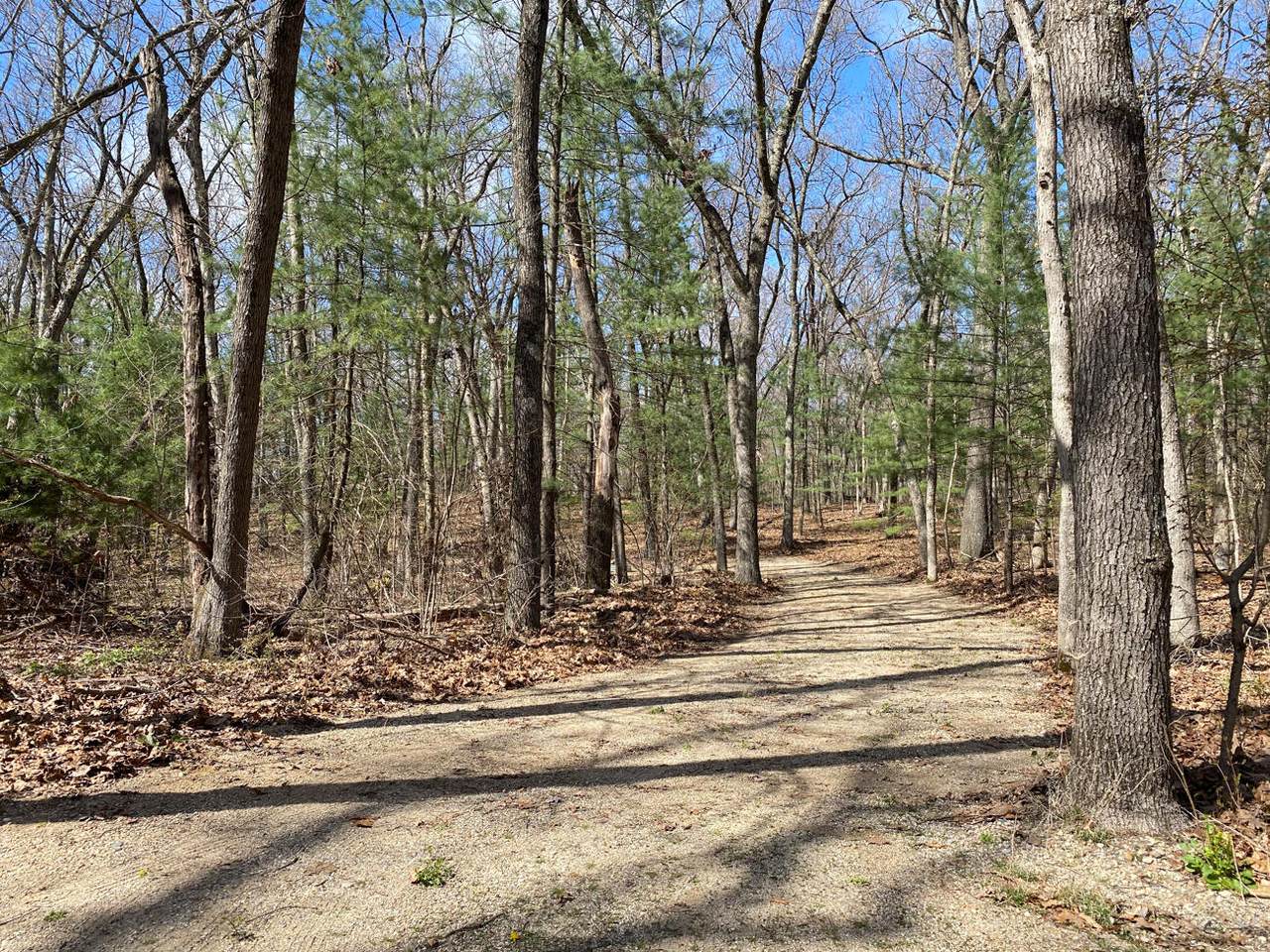 V/L Wintergreen Drive - Photo 1