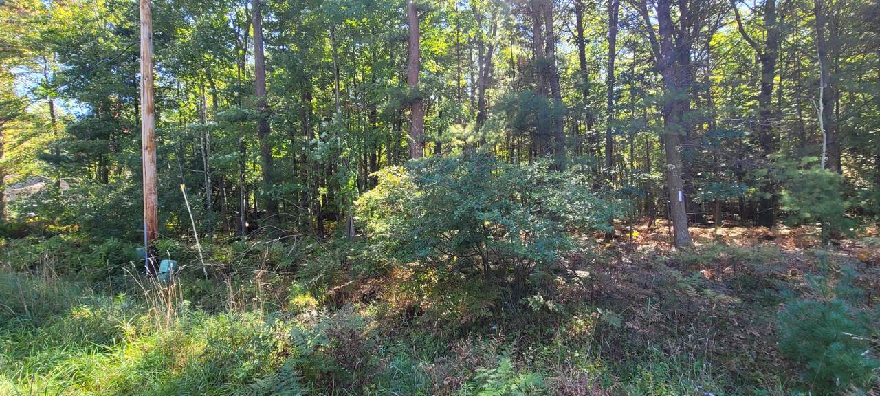 Lots 5 and 6 2nd Street - Photo 1
