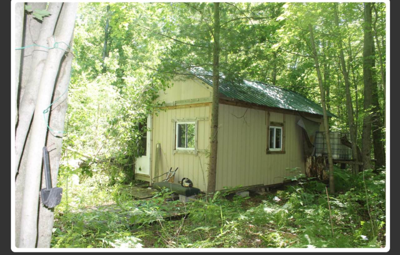 4620 Wixom Drive - Photo 1