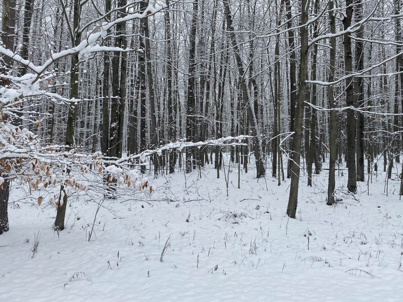 8277 Tanglewood Trail - Photo 1