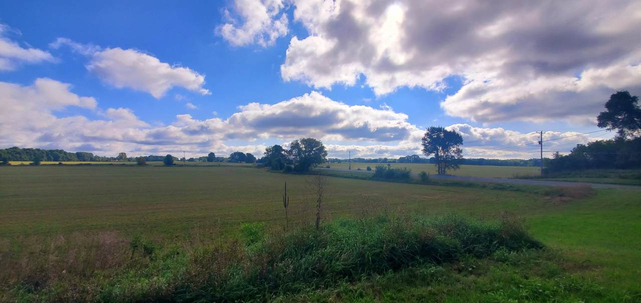 515 13 Mile Road - Photo 1
