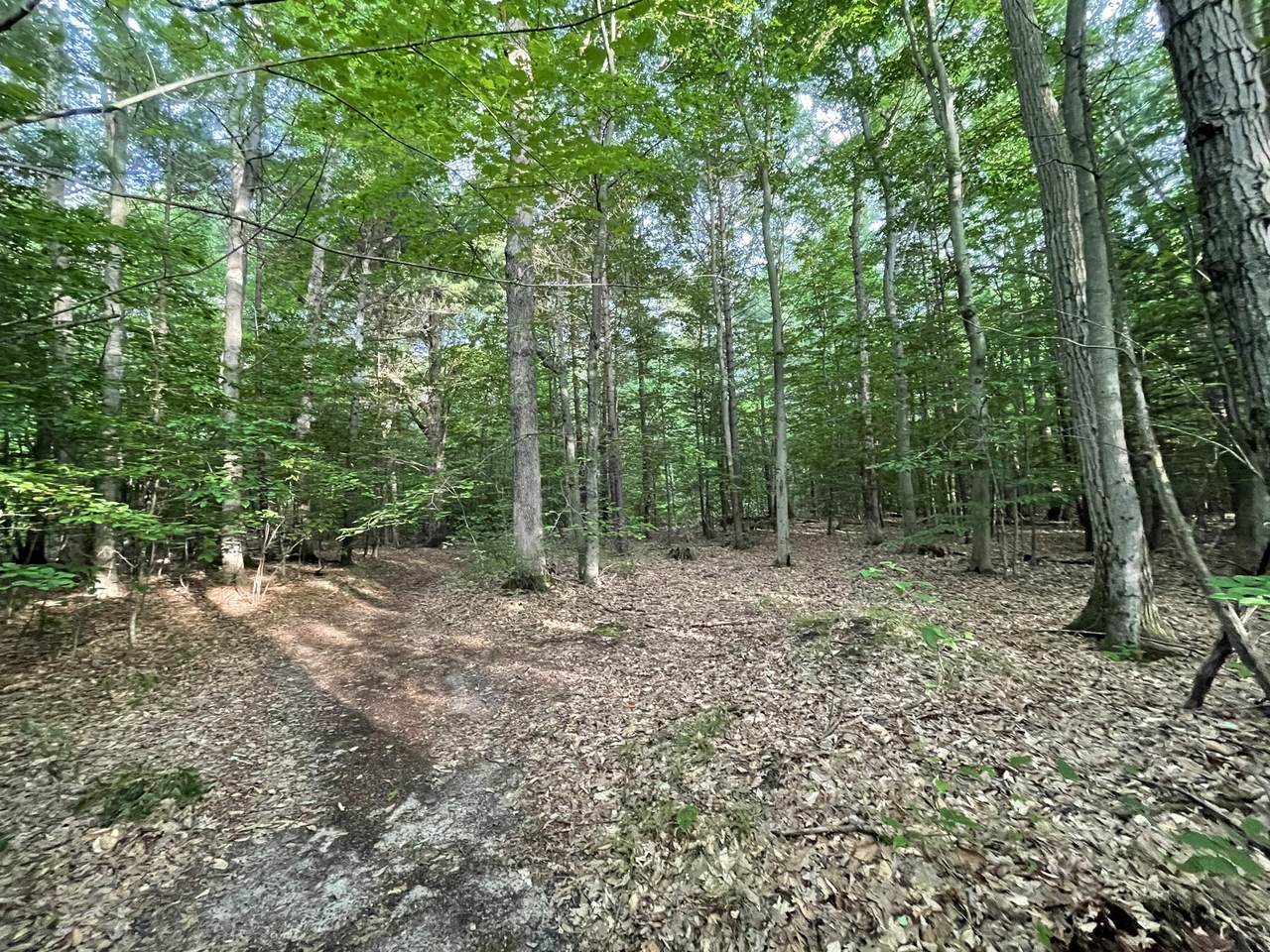 0 Walker Road - Photo 1