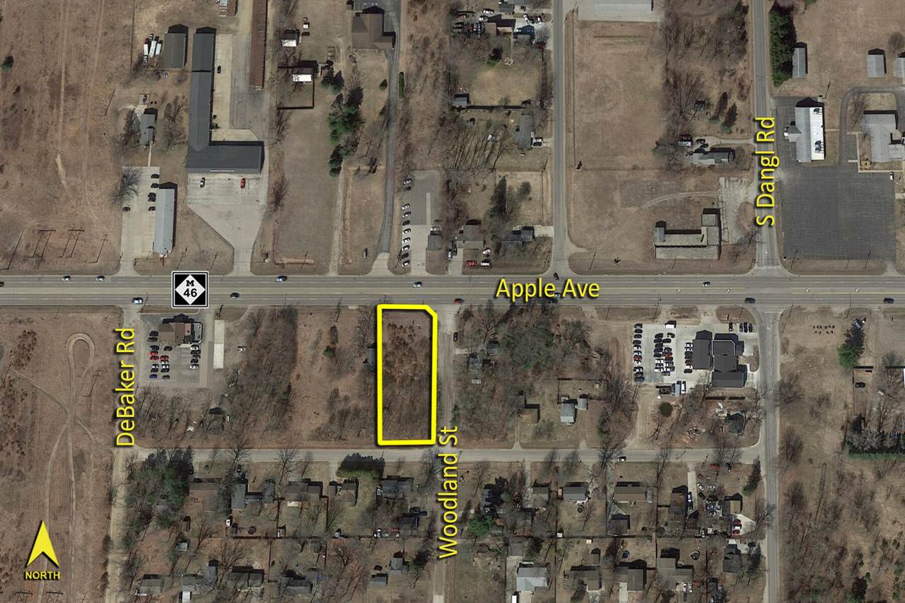 V/L Apple Avenue - Photo 1