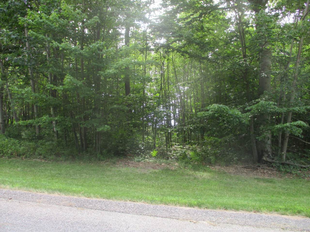 Emerald Ridge Lot #13 - Photo 1