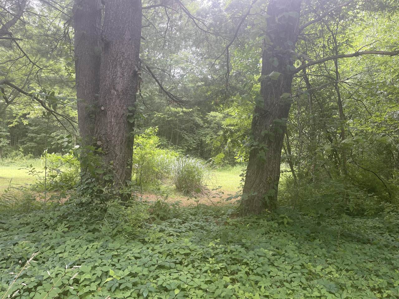 VACANT LOT Miami Avenue - Photo 1