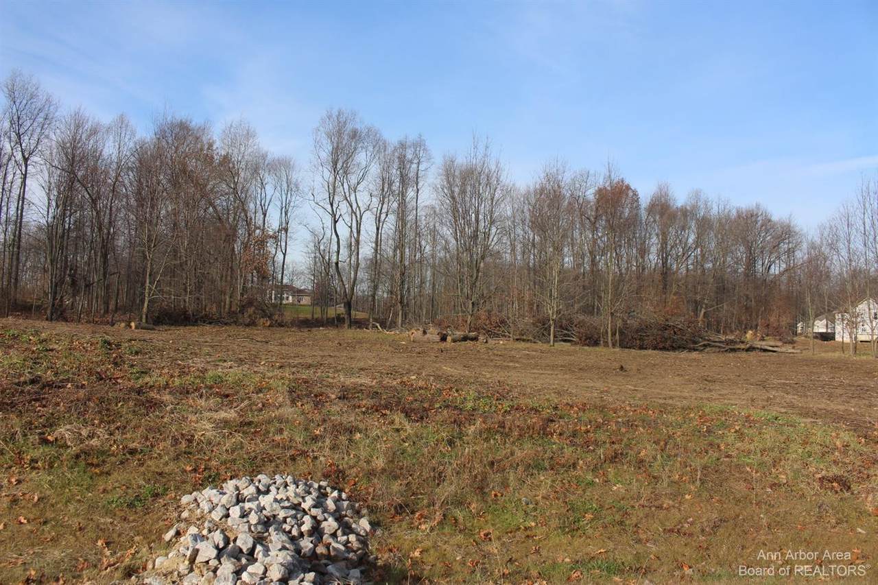 0 Lindsey Unit 19 Drive - Photo 1