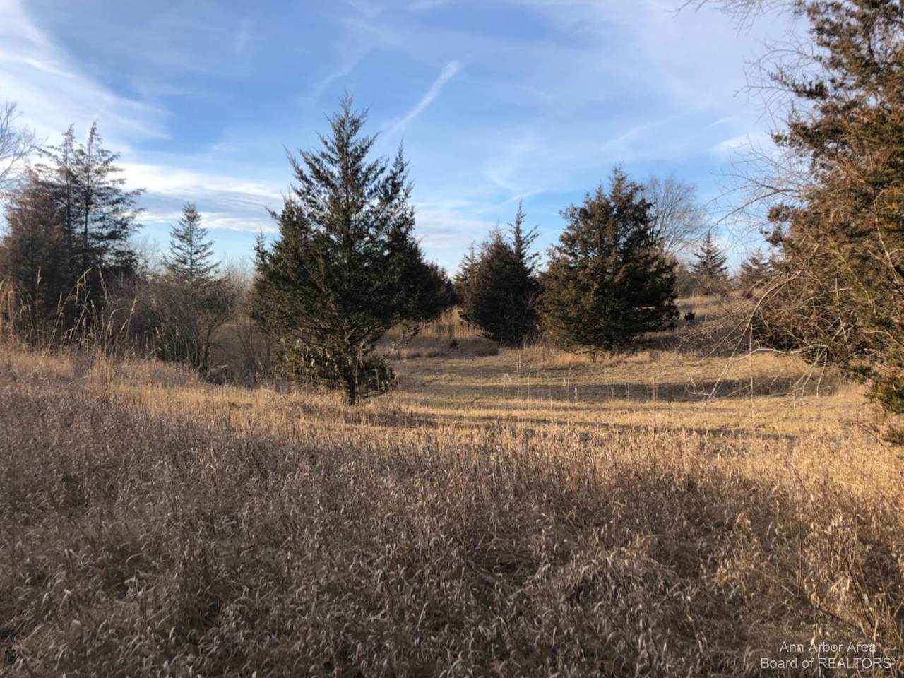 0 Sharon Valley Road - Photo 1