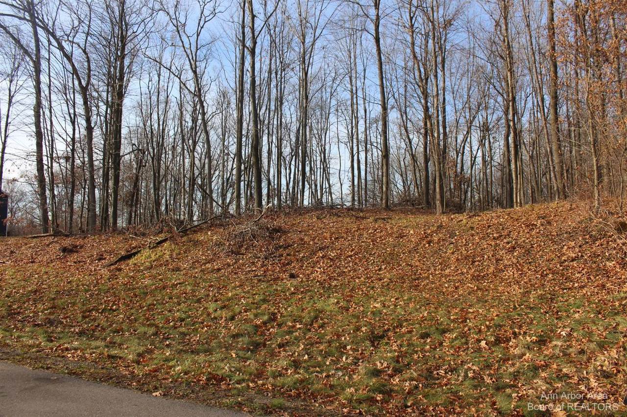 0 Lindsey Unit 13 Road - Photo 1