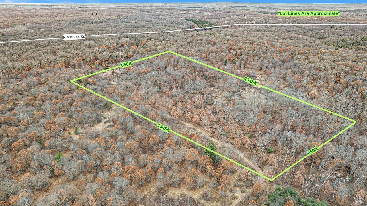 2300 Mieras Road - Photo 1
