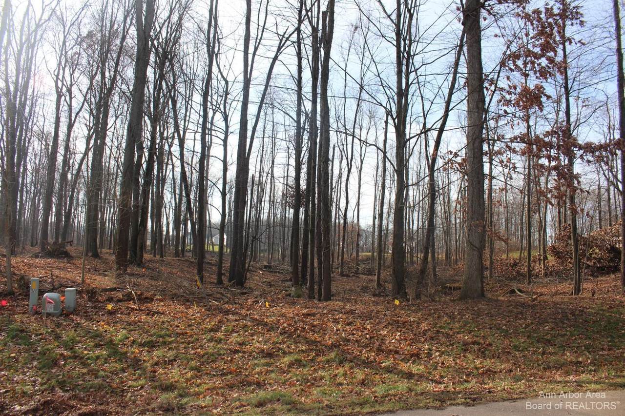 0 Lindsey Unit 5 Road - Photo 1