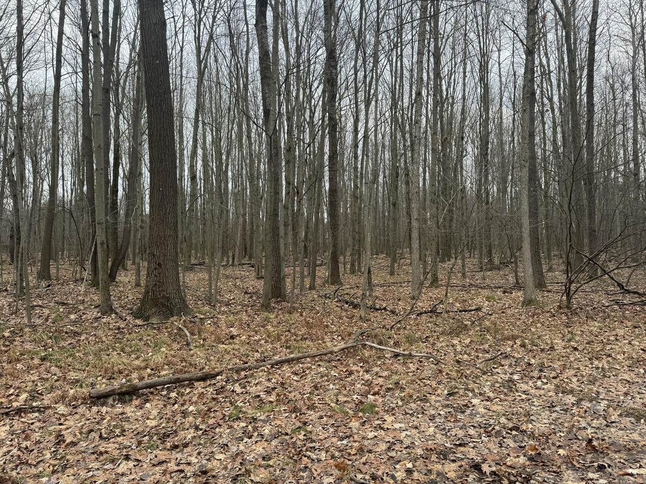 6080 Deerfield Road - Photo 1