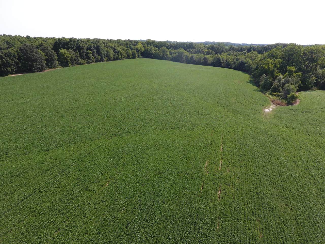 4100 Pennington Road, Clinton, MI 49236 (MLS 24003298) CENTURY 21