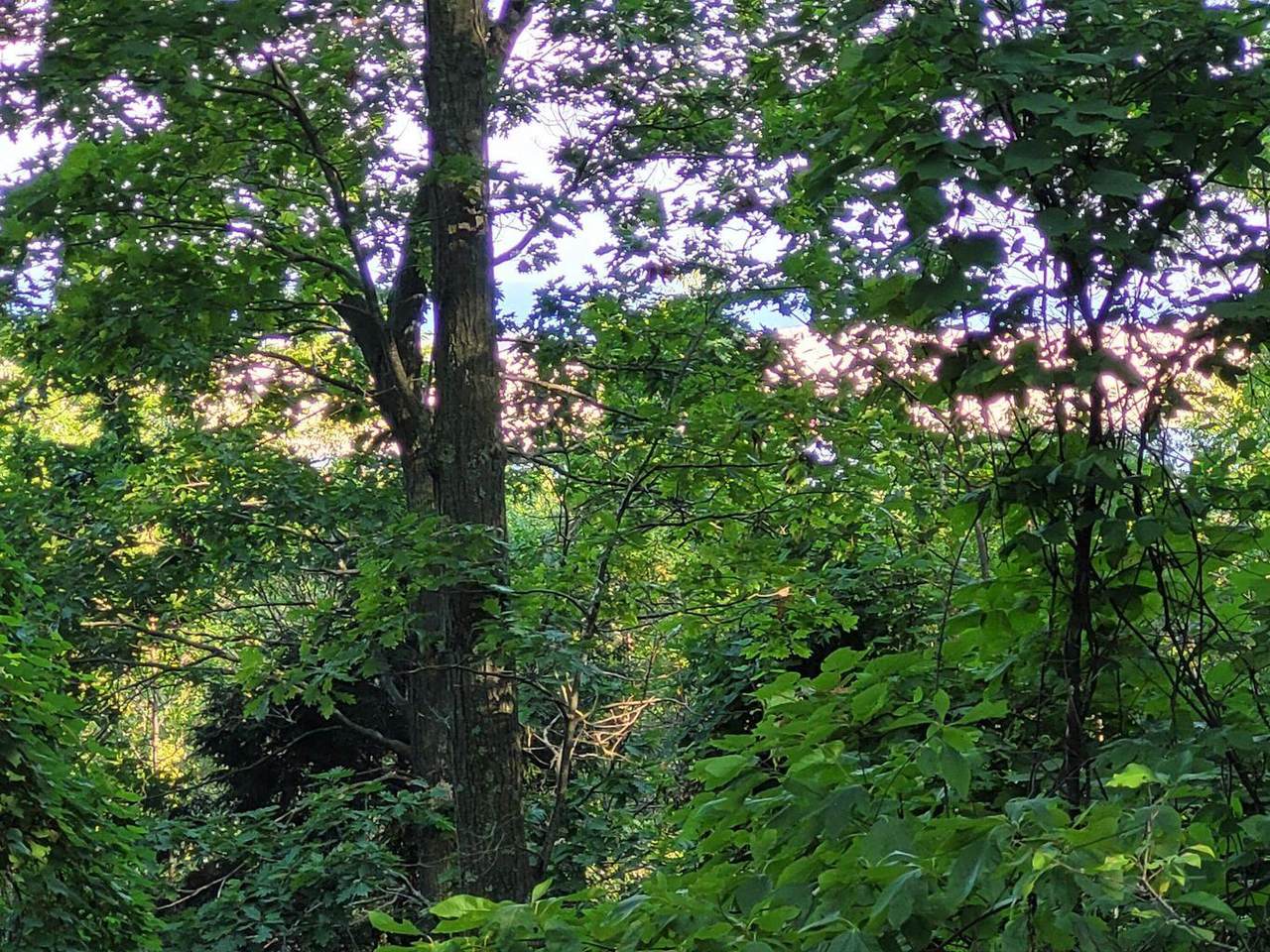 Lot D Silver Vista Lane - Photo 1