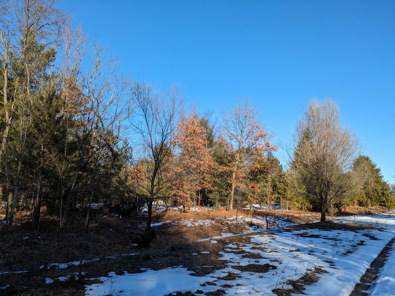 Bergstrom Drive - Photo 1