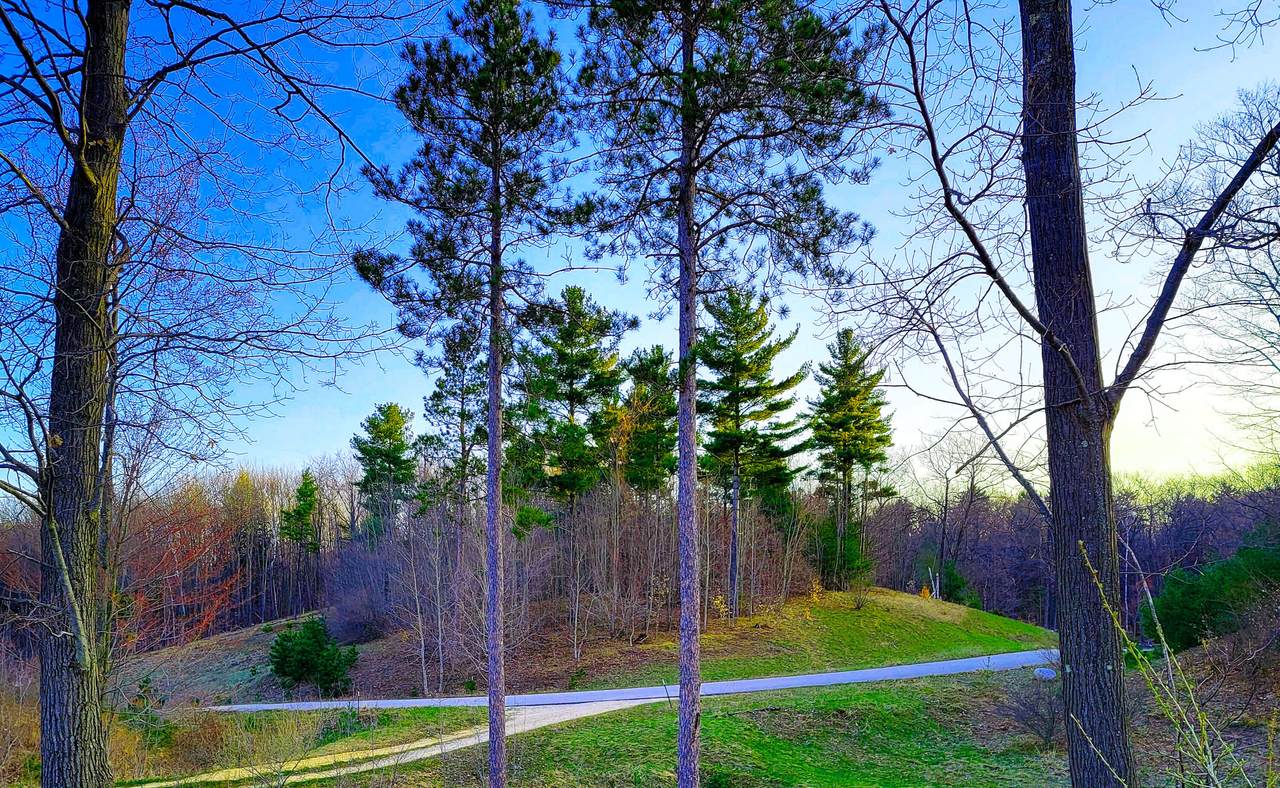 Indigo Trail - Photo 1