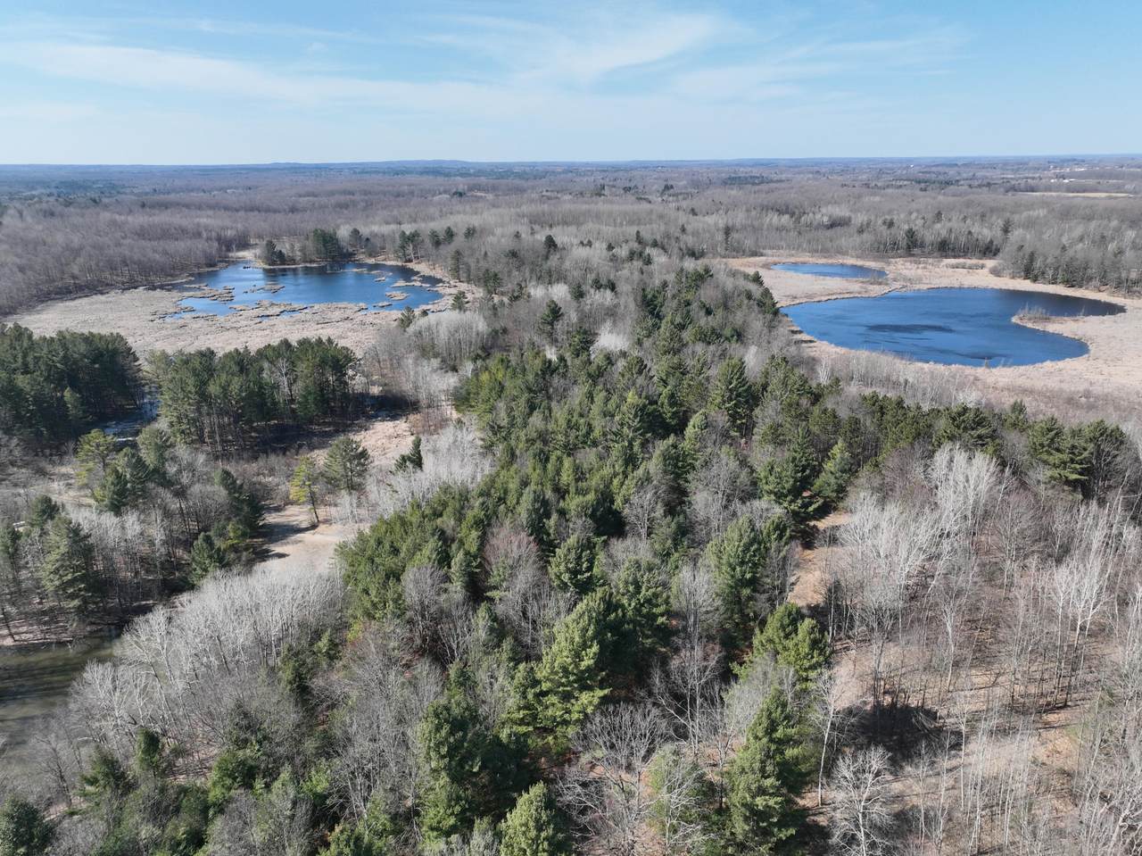 V/L 148A 12 Mile Road - Photo 1