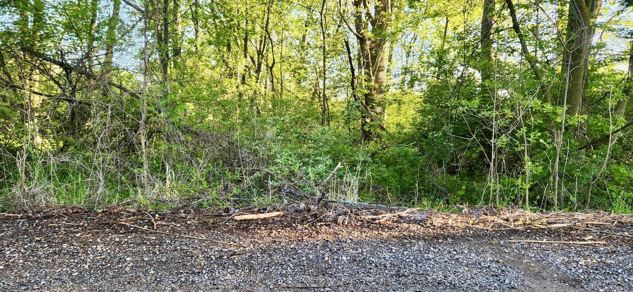 VL 120th Avenue - Photo 1