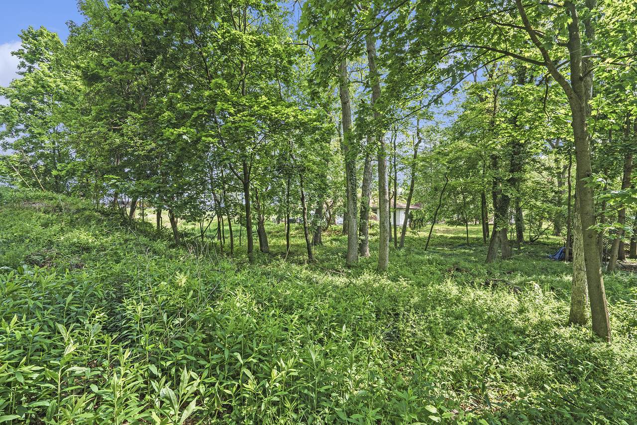 https://bt-photos.global.ssl.fastly.net/swmich/1280_boomver_1_24024153-2.jpg