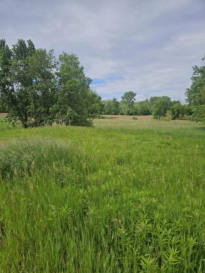 10800 Crooked Lake Drive - Photo 1