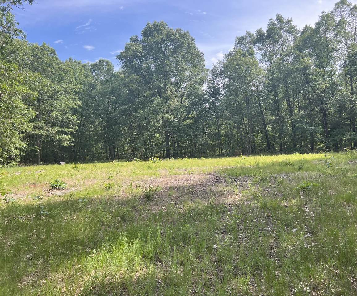 V/L White Eagle Drive - Photo 1
