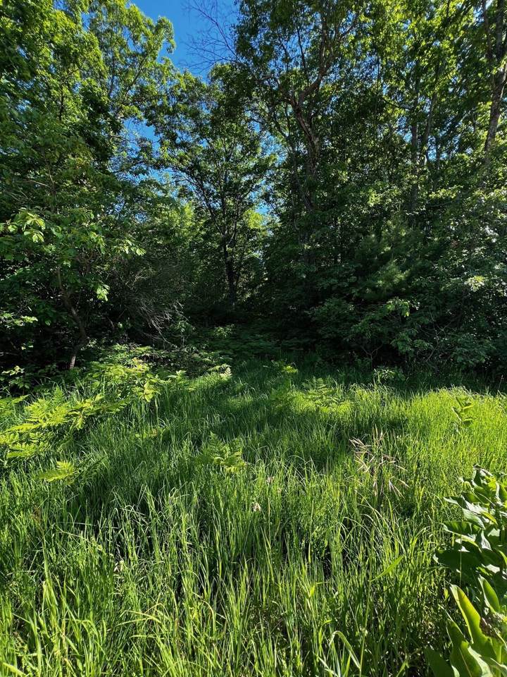 0 Skeels Road - Photo 1