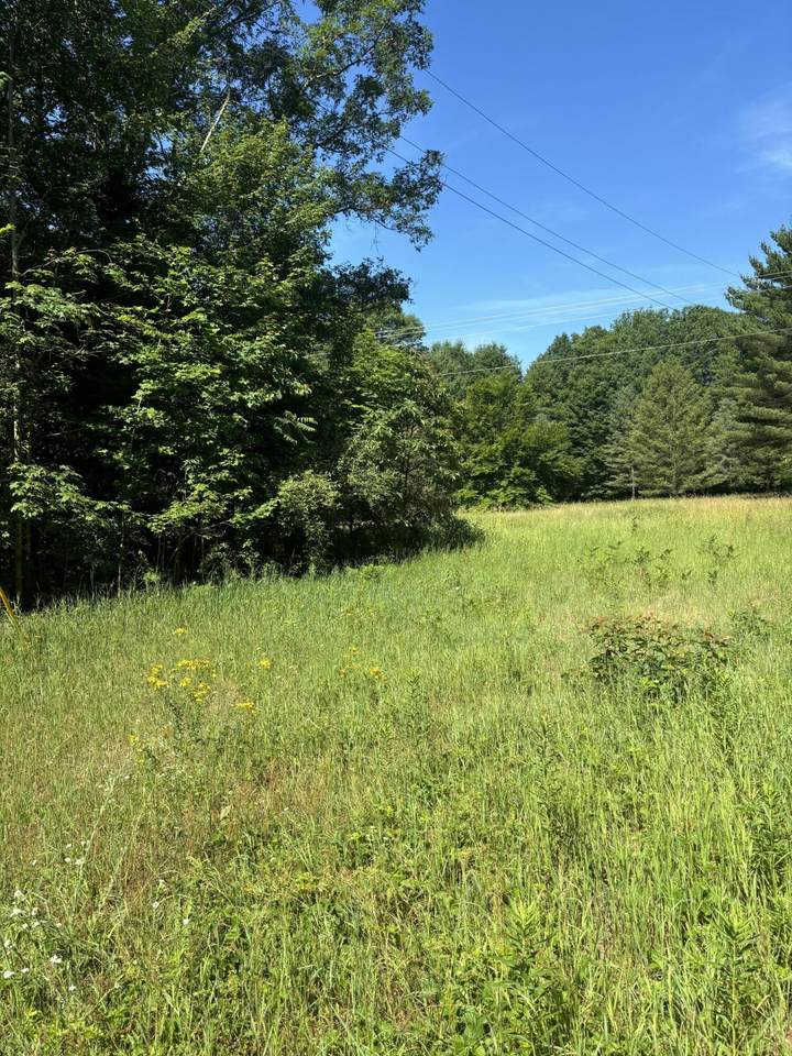 TBD Felch  And  W Country Trail - Photo 1