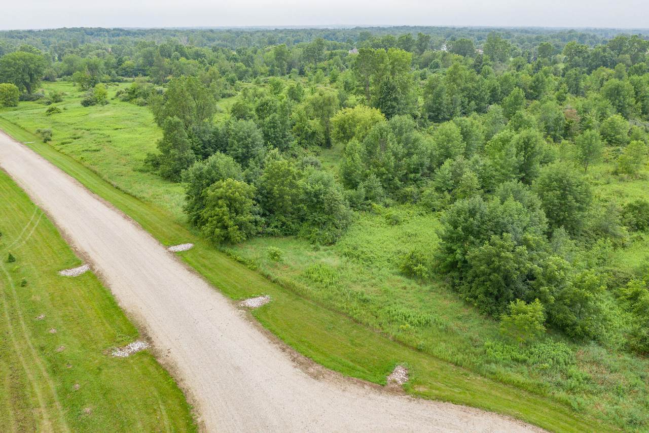 0000 Nixon Road - Photo 1