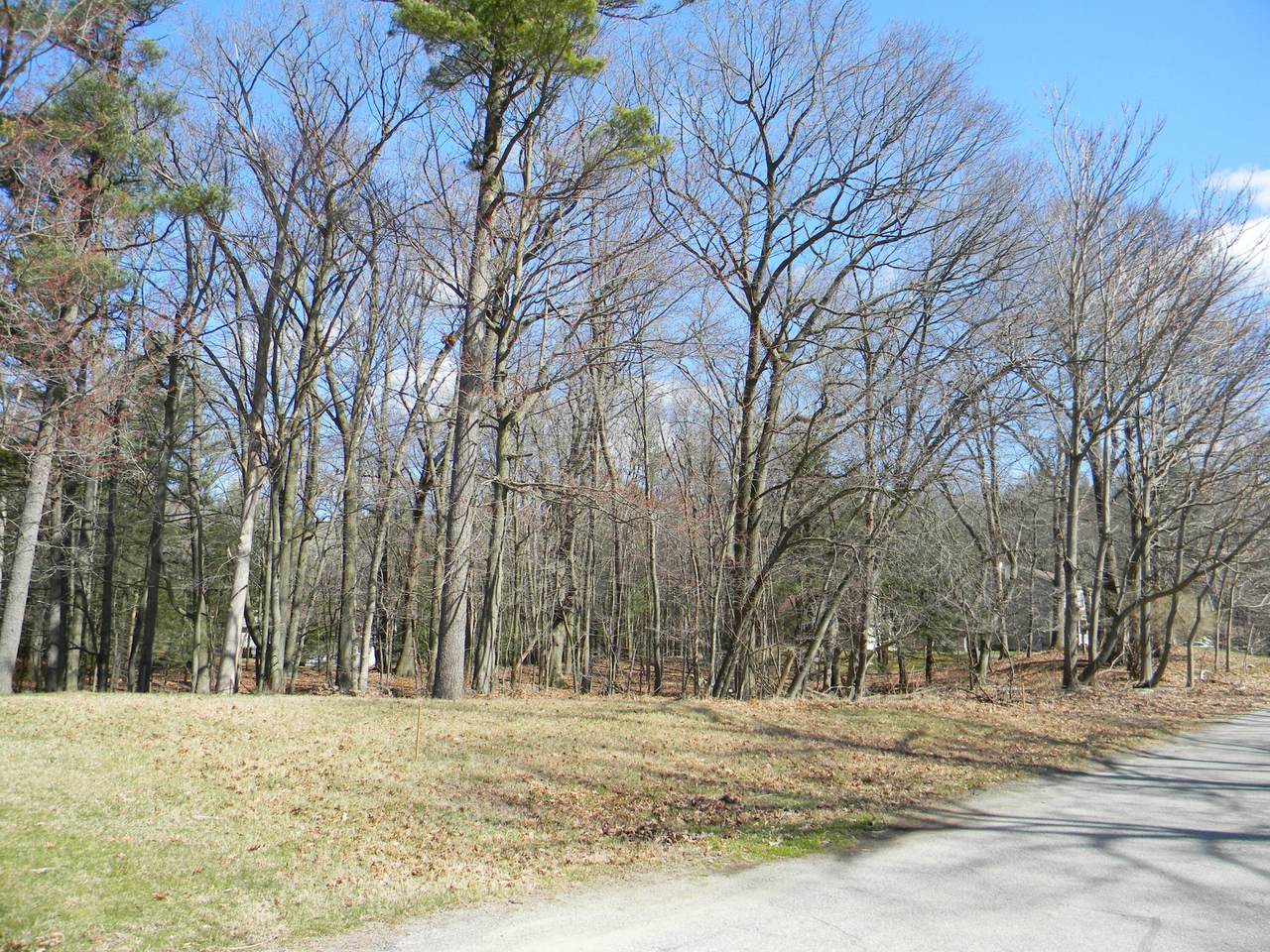 V/L Cambridge Drive - Photo 1