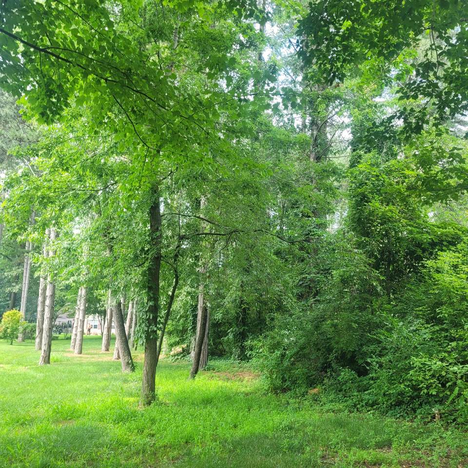 11348 Oakwood Drive - Photo 1