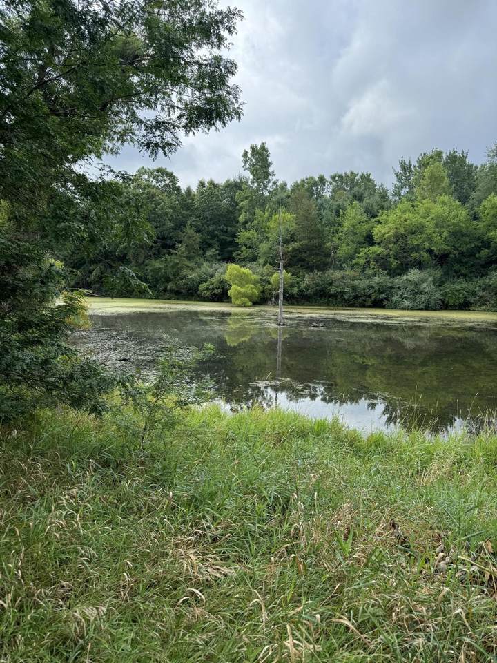 https://bt-photos.global.ssl.fastly.net/swmich/1280_boomver_1_24040425-2.jpg