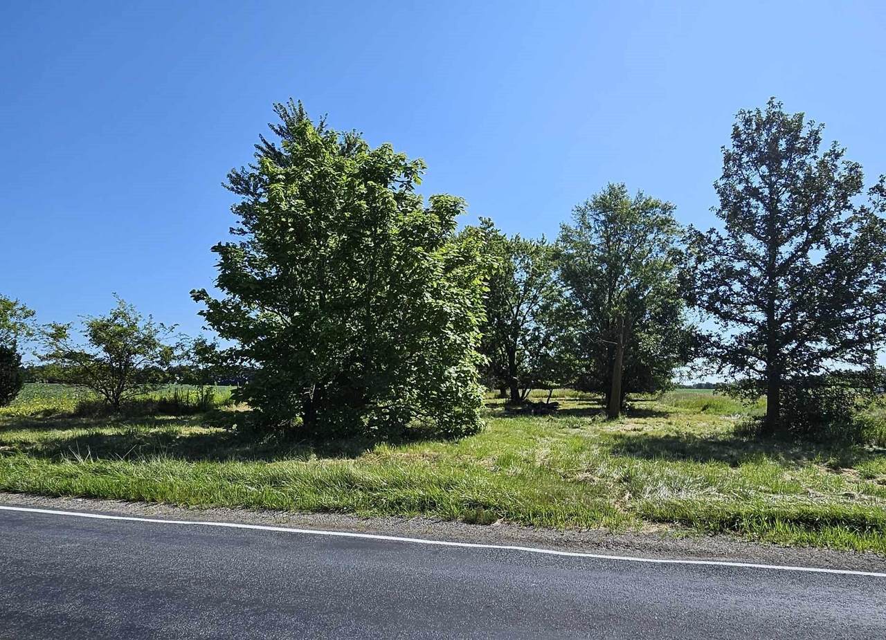 2609 Ionia Road - Photo 1