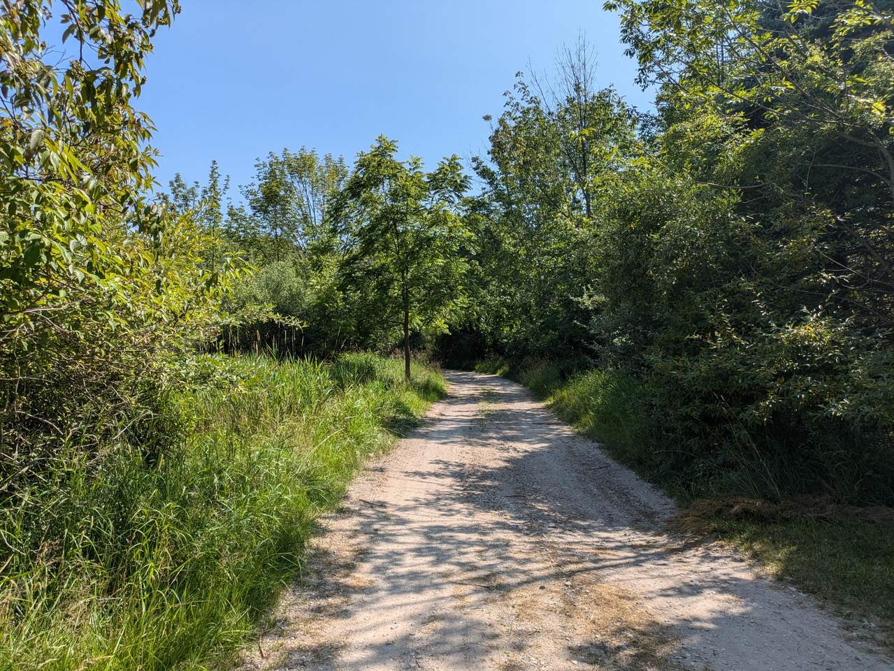 Lakeshore/Snape Road - Photo 1