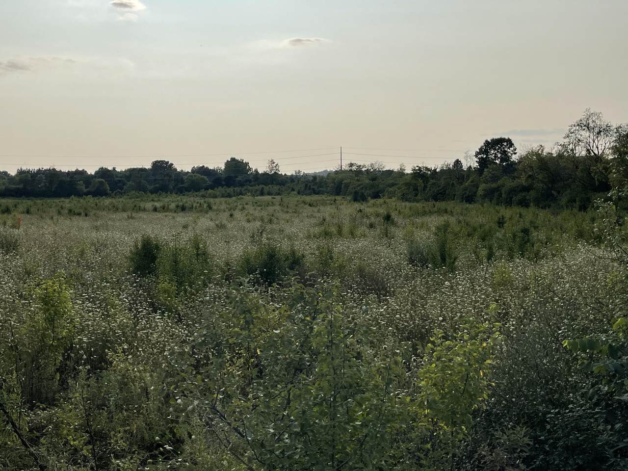 Lot 1 Munger Road - Photo 1