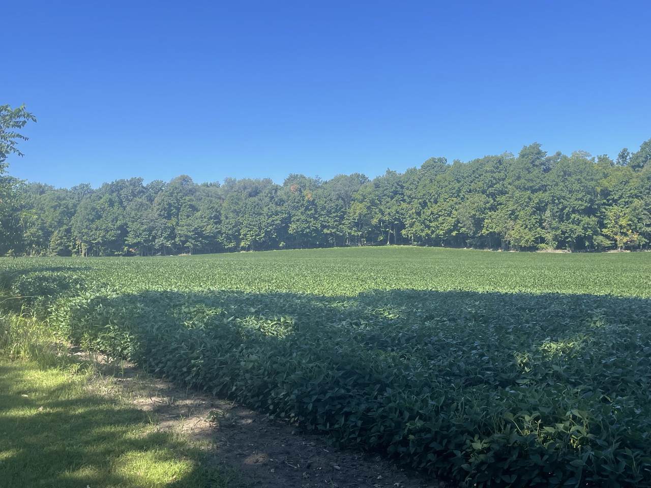 130 Osborn Road - Photo 1