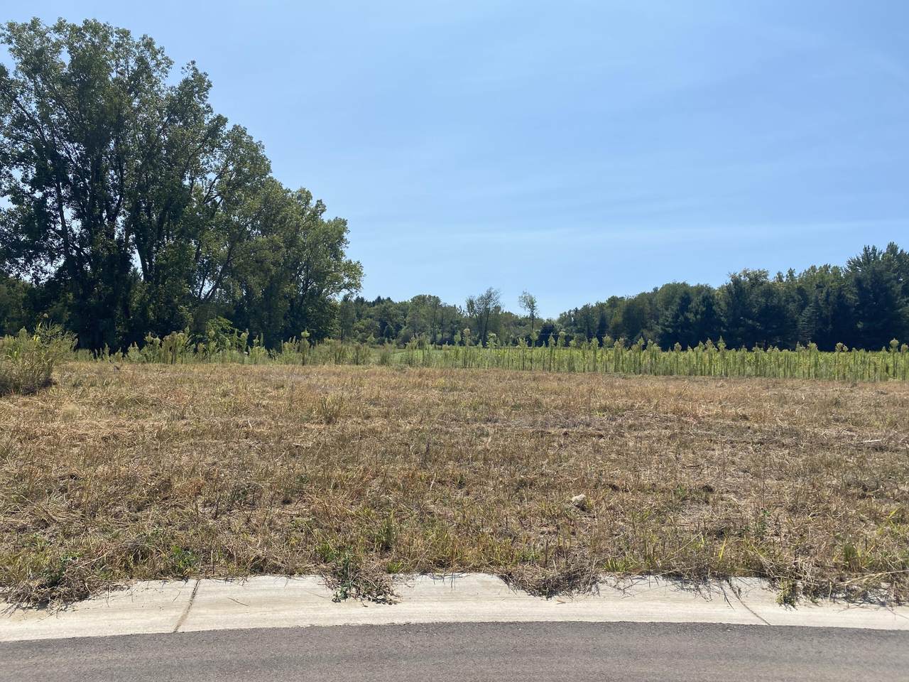 5724 Horizon Lane - Photo 1