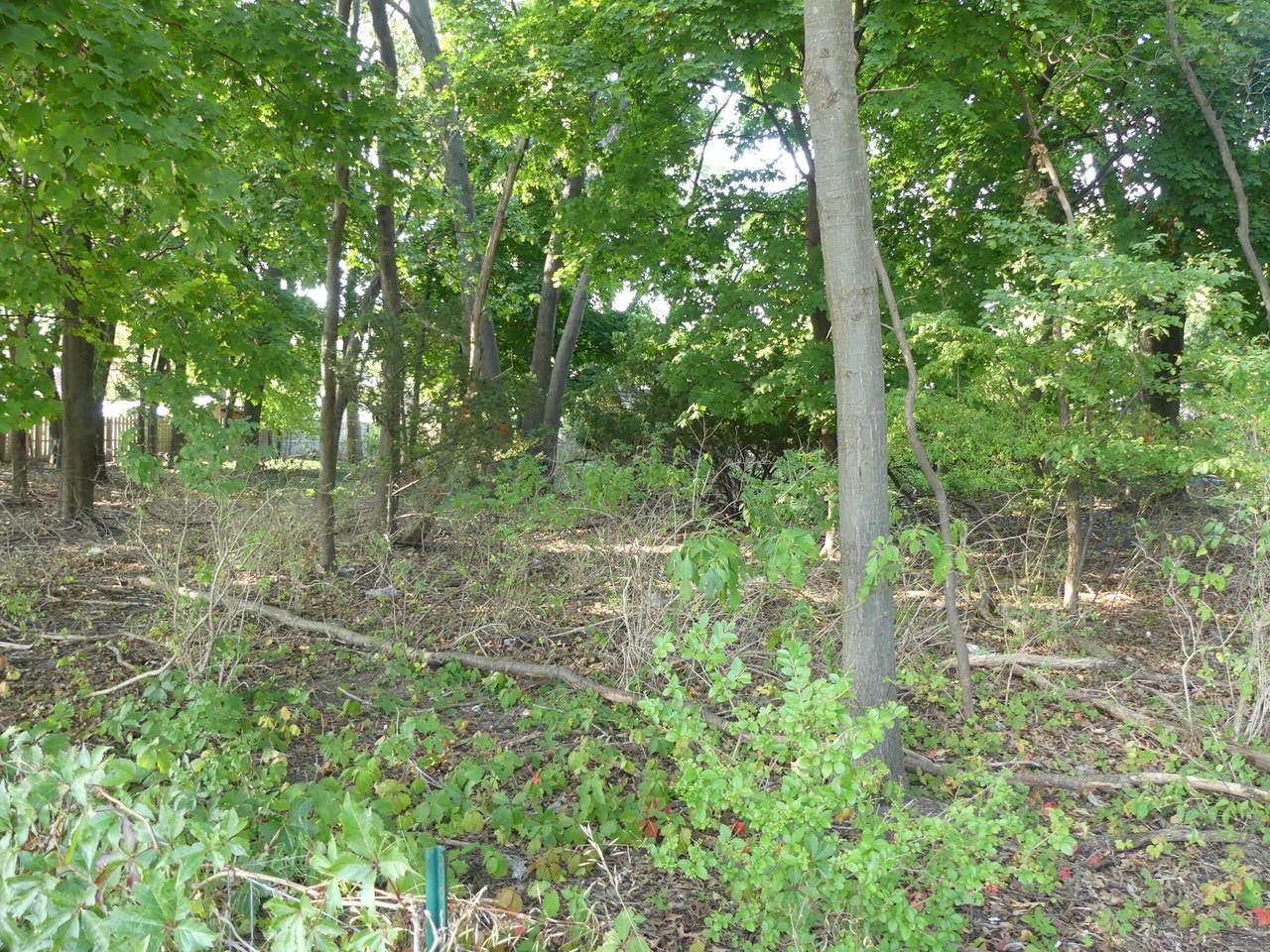 1374 Sherman Boulevard - Photo 1
