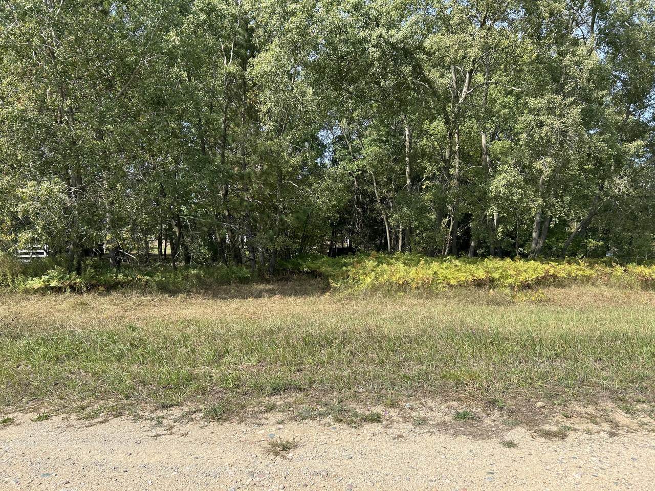 8730 125th Avenue - Photo 1