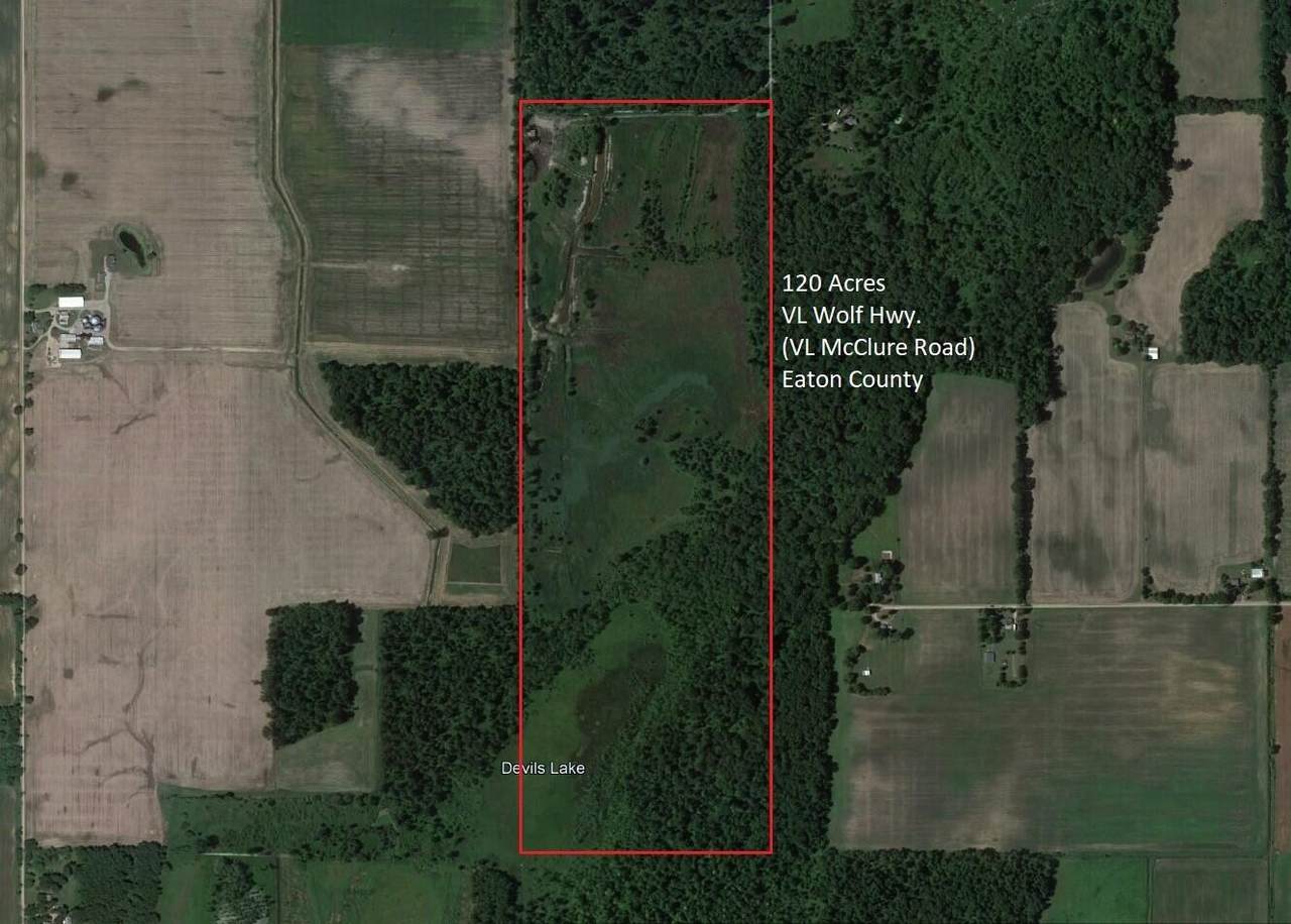 Vl Mcclure Rd - Wolf Hwy. - Photo 1