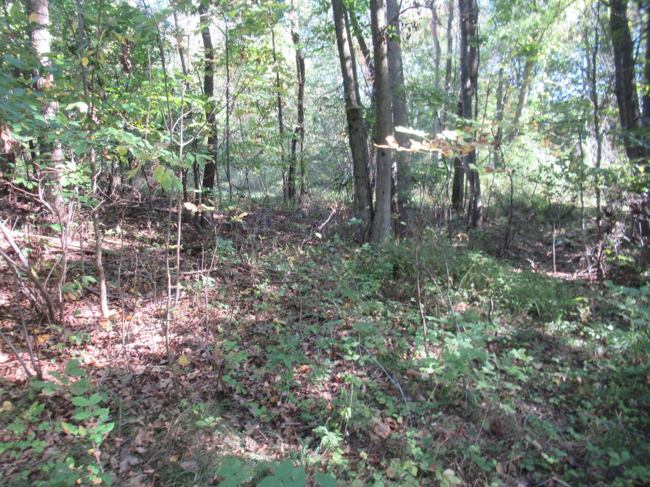 17538 Paradise Lake Road - Photo 1