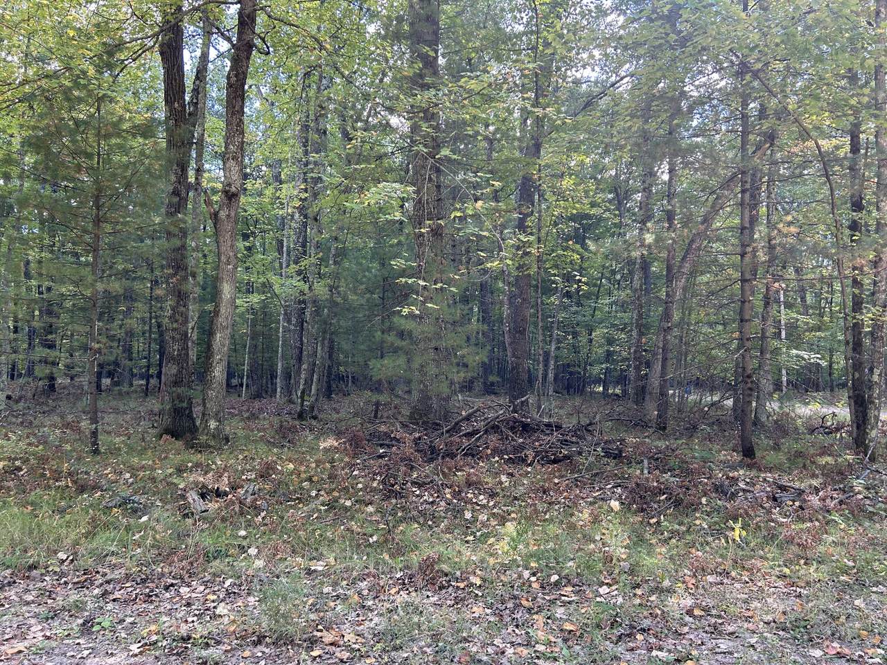 V/L Trail Of The Lakes - Photo 1