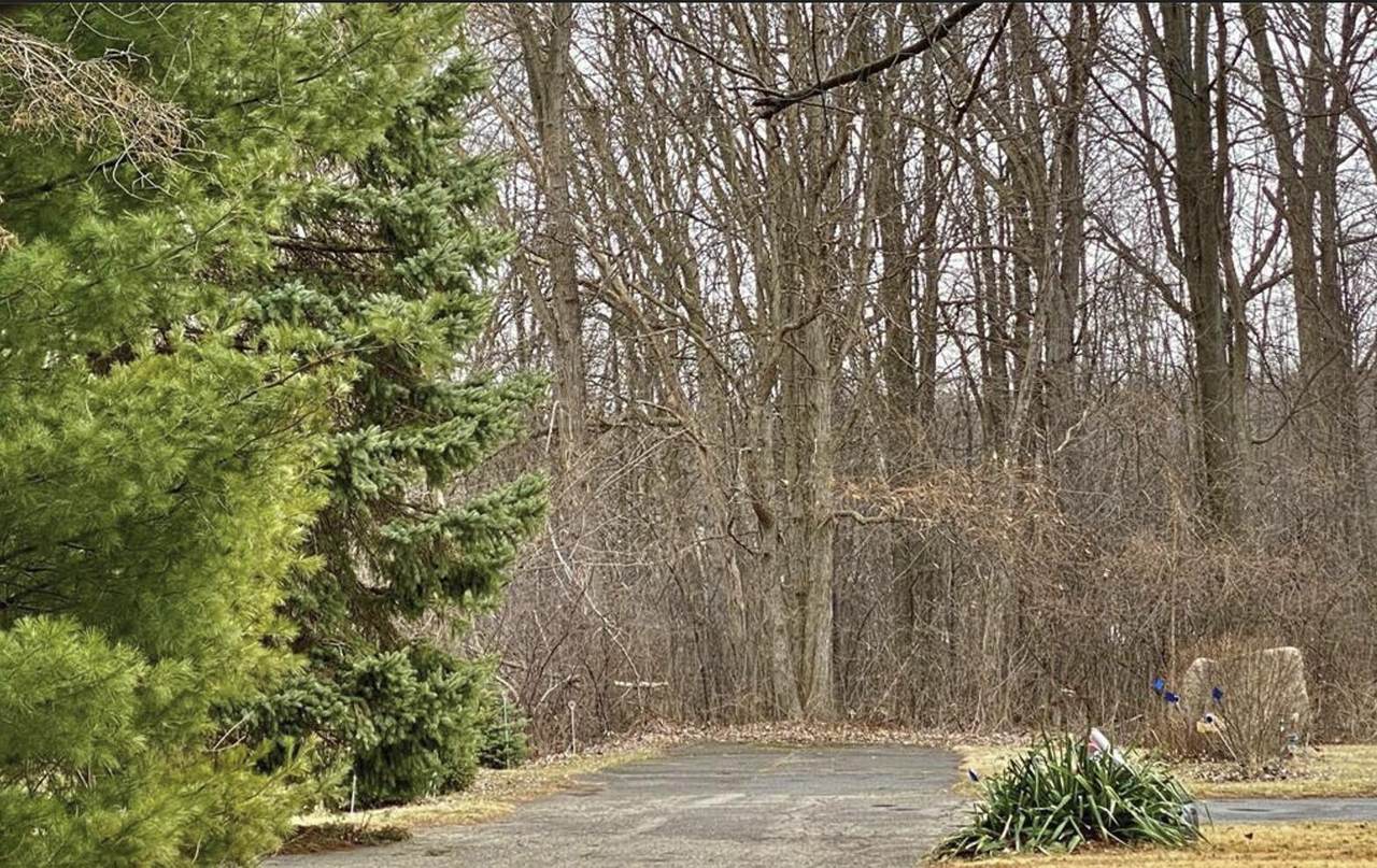 8480 Rosecrest Court - Photo 1