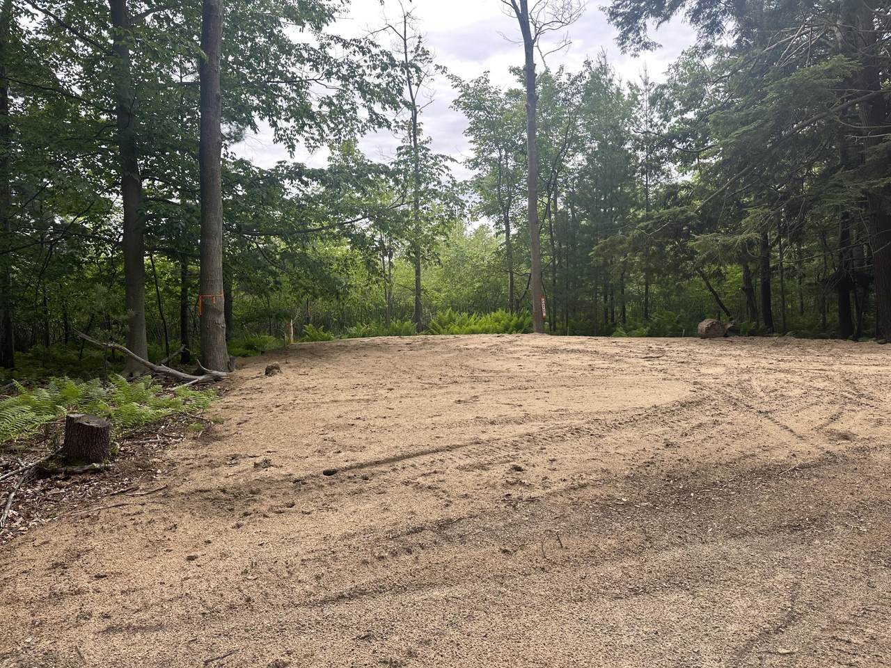 V/L Watson Avenue - Photo 1
