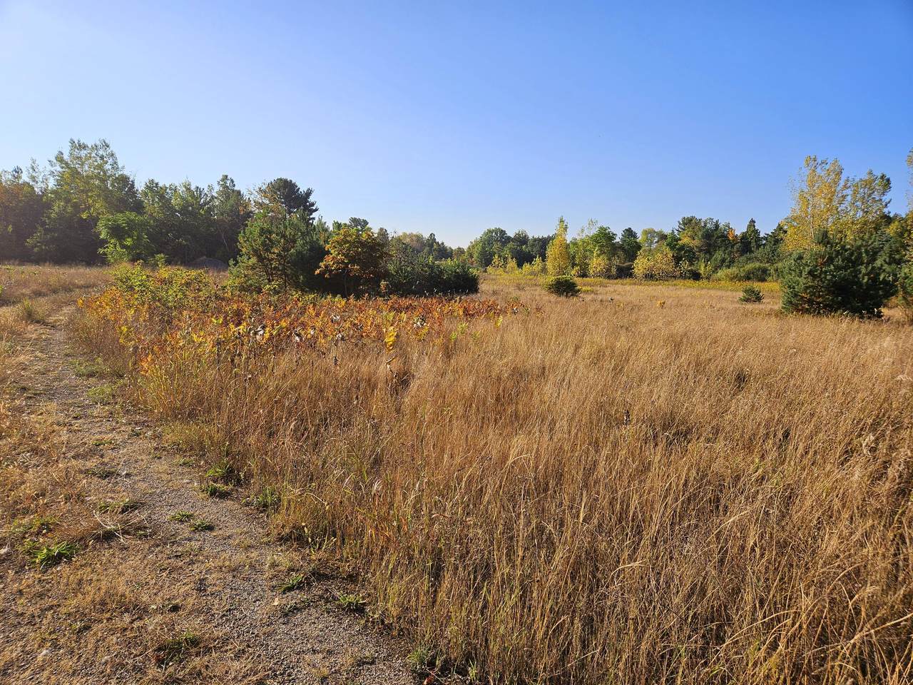https://bt-photos.global.ssl.fastly.net/swmich/1280_boomver_1_24054388-2.jpg
