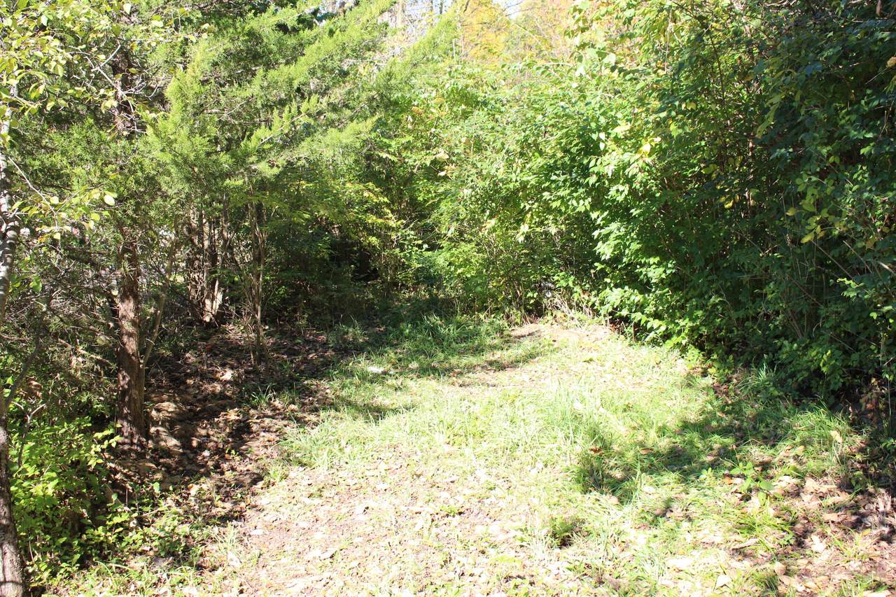 Vacant Clark Road - Photo 1