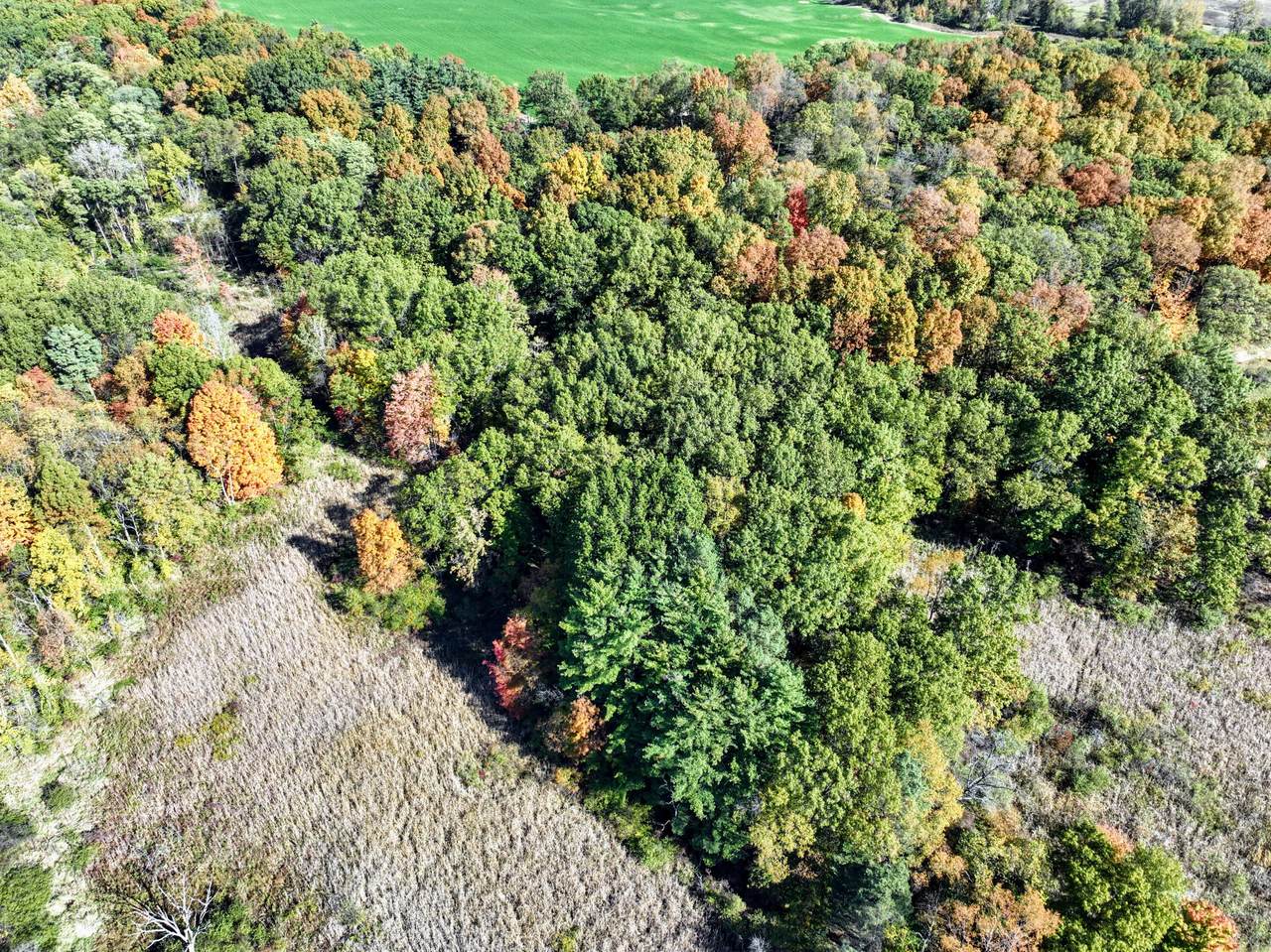 VL W Hickory Rd, Lot#Wp001 - Photo 1