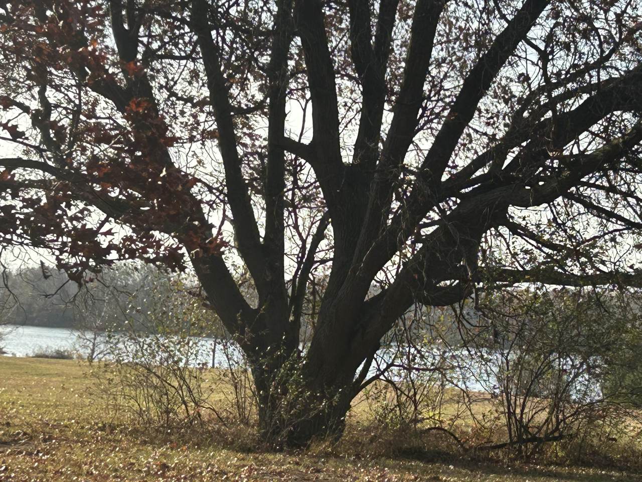 10103 Island Boulevard - Photo 1