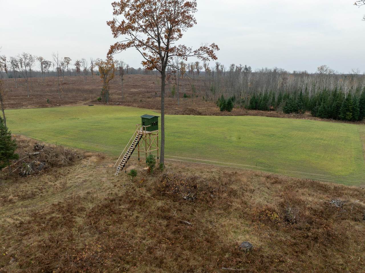 5700 Meinzinger Drive - Photo 1